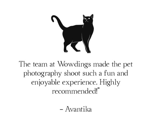 delhi pet photography testimonial