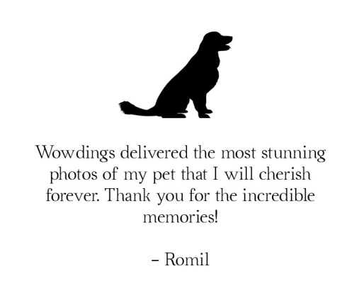 delhi pet photography testimonial