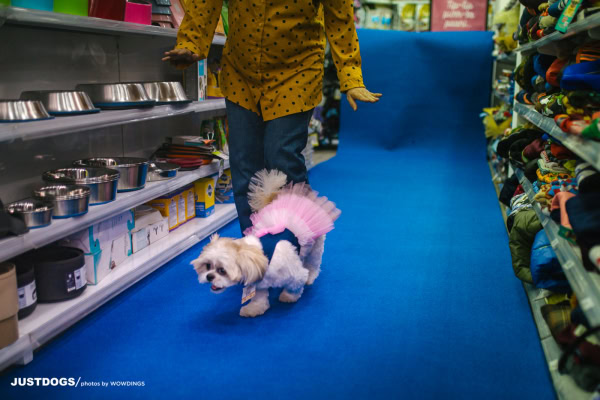 JUSTDOGS INSTORE PET EVENT