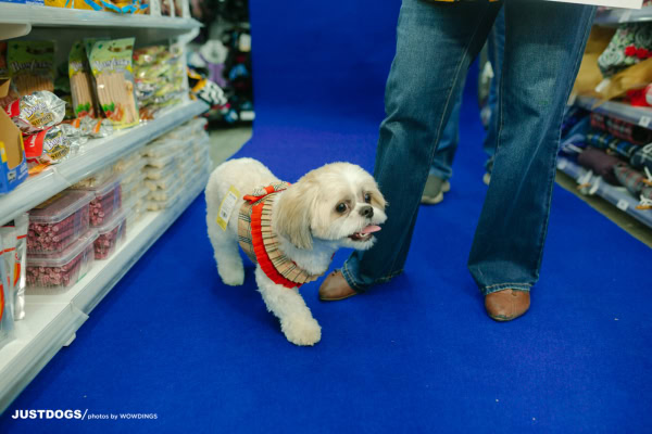 JUSTDOGS INSTORE PET EVENT