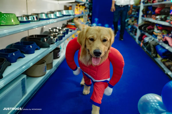 JUSTDOGS INSTORE PET EVENT