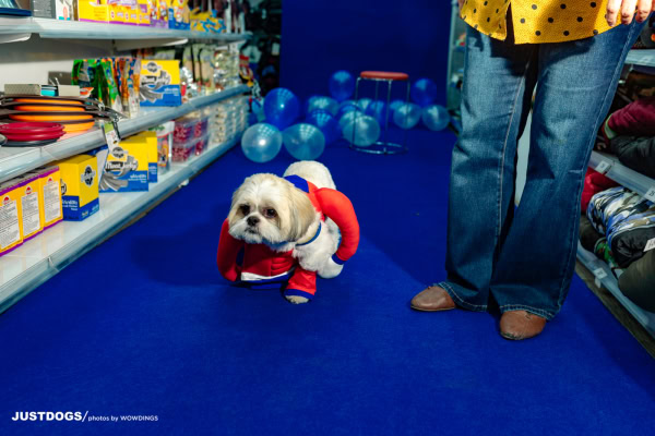 JUSTDOGS INSTORE PET EVENT