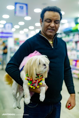 JUSTDOGS INSTORE PET EVENT