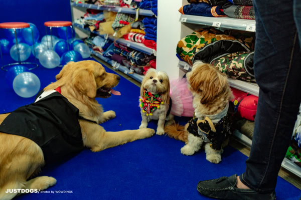 JUSTDOGS INSTORE PET EVENT