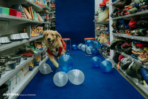 JUSTDOGS INSTORE PET EVENT