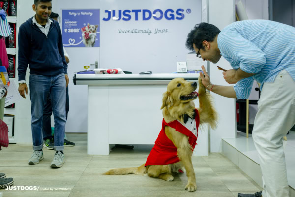 JUSTDOGS INSTORE PET EVENT