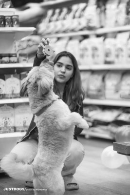 JUSTDOGS INSTORE PET EVENT