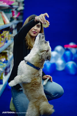 JUSTDOGS INSTORE PET EVENT