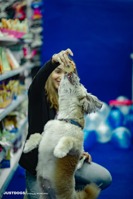 JUSTDOGS INSTORE PET EVENT