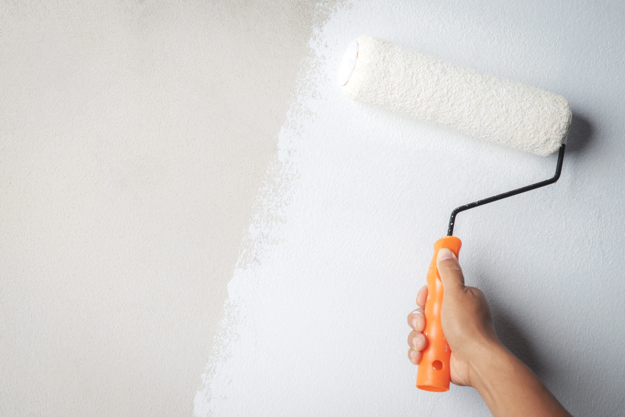 professional painting services. 