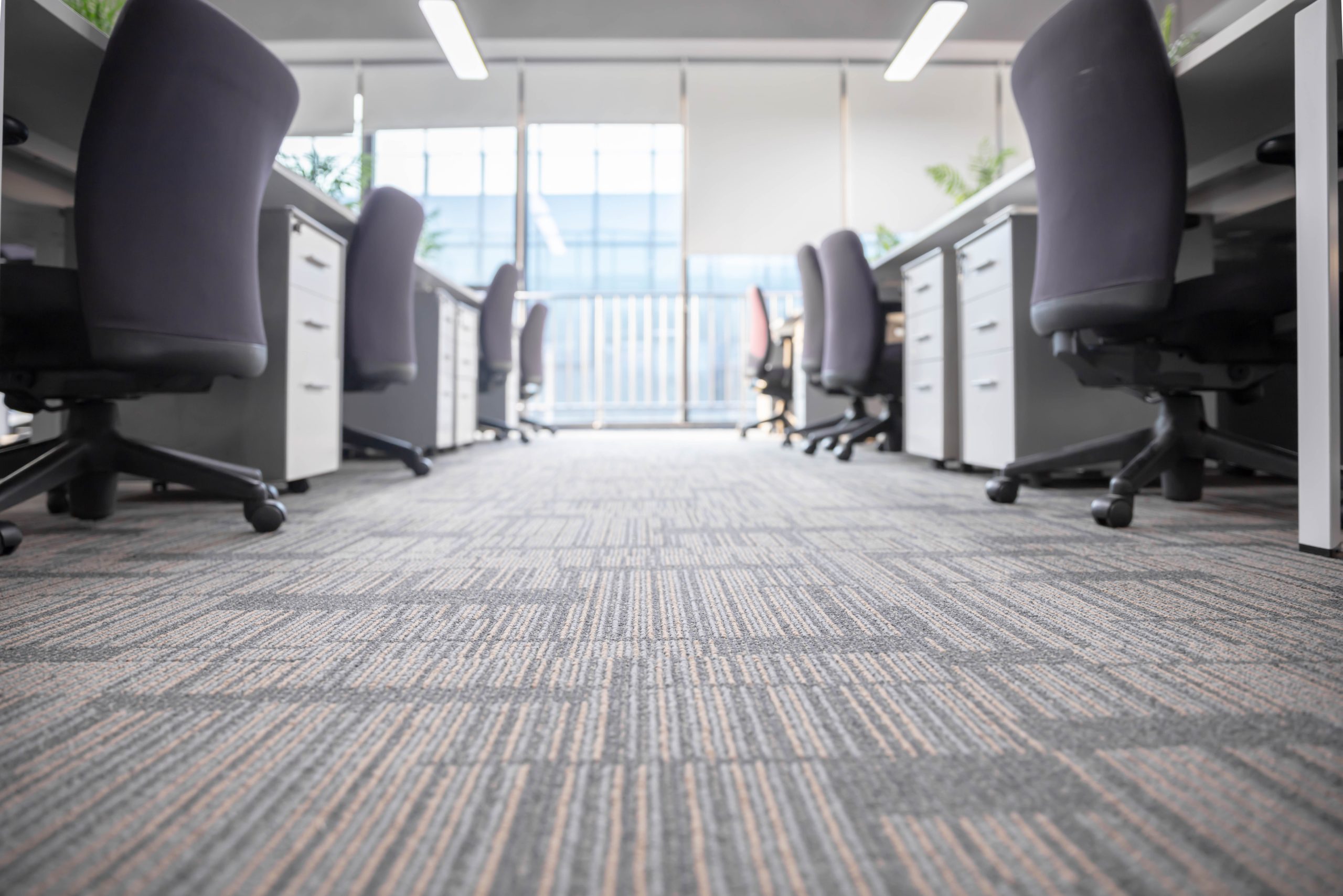 Modern office fit-out.