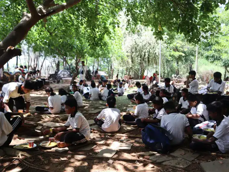 Summer Camp