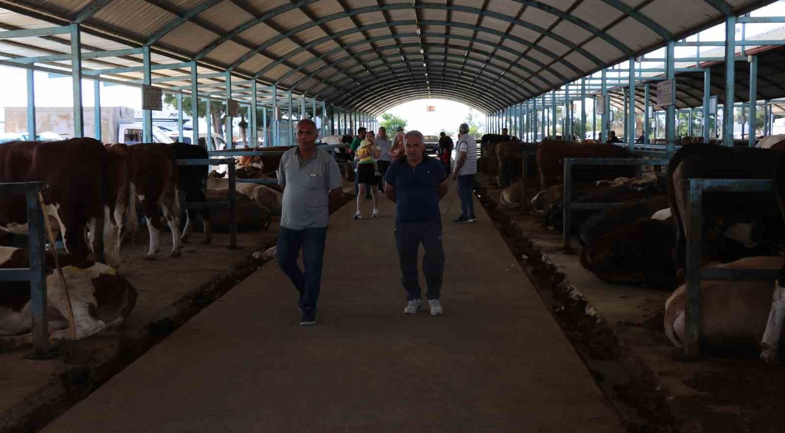 Denizli’de Kurbanlıklar Alıcılarını Bekliyor