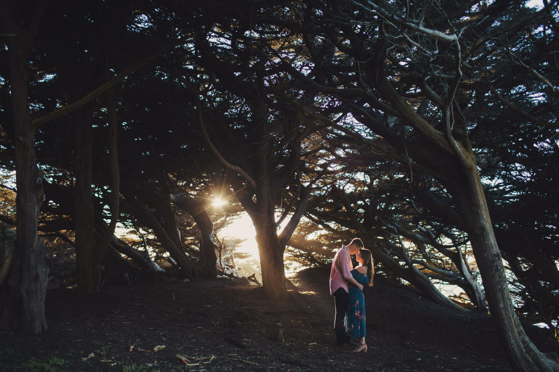 Bay Area Engagement Photographer ©Anne-Claire Brun-087