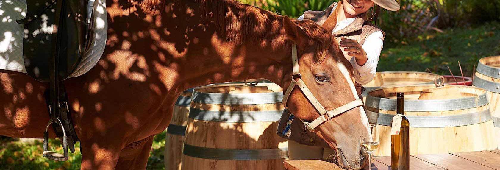 experiences-homepage-e1668181939178