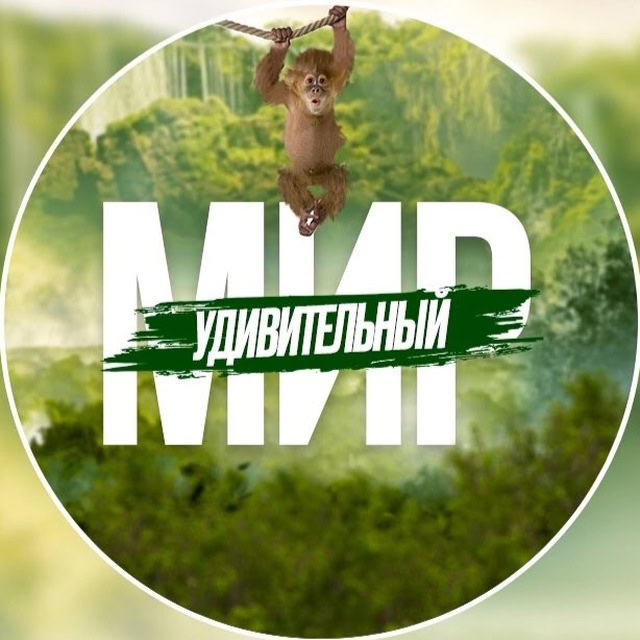 Логотип телеграмм канала - Удивительный Мир — путешествуй глазами подписчиков - каналы про путешествия
