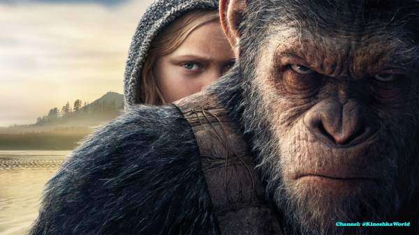 Логотип телеграмм канала - Лучшие фильмы онлайн: подписка на KinoWorld в Телеграмм - Фильмы и Сериалы