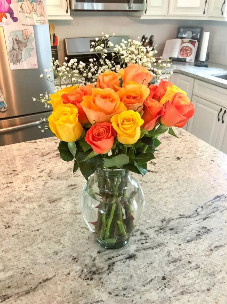 Reviews for Complete Kitchen Design Michigan