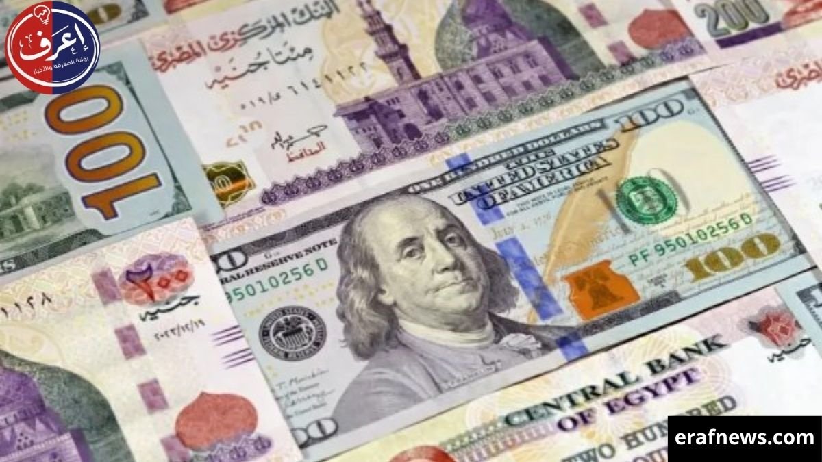 أسعار الدولار والعملات اليوم الجمعة 15 مايو 2026 في البنك المركزي وترقب لاجتماع “السياسات النقدية”