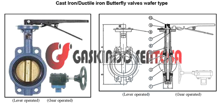 Butterfly Valve