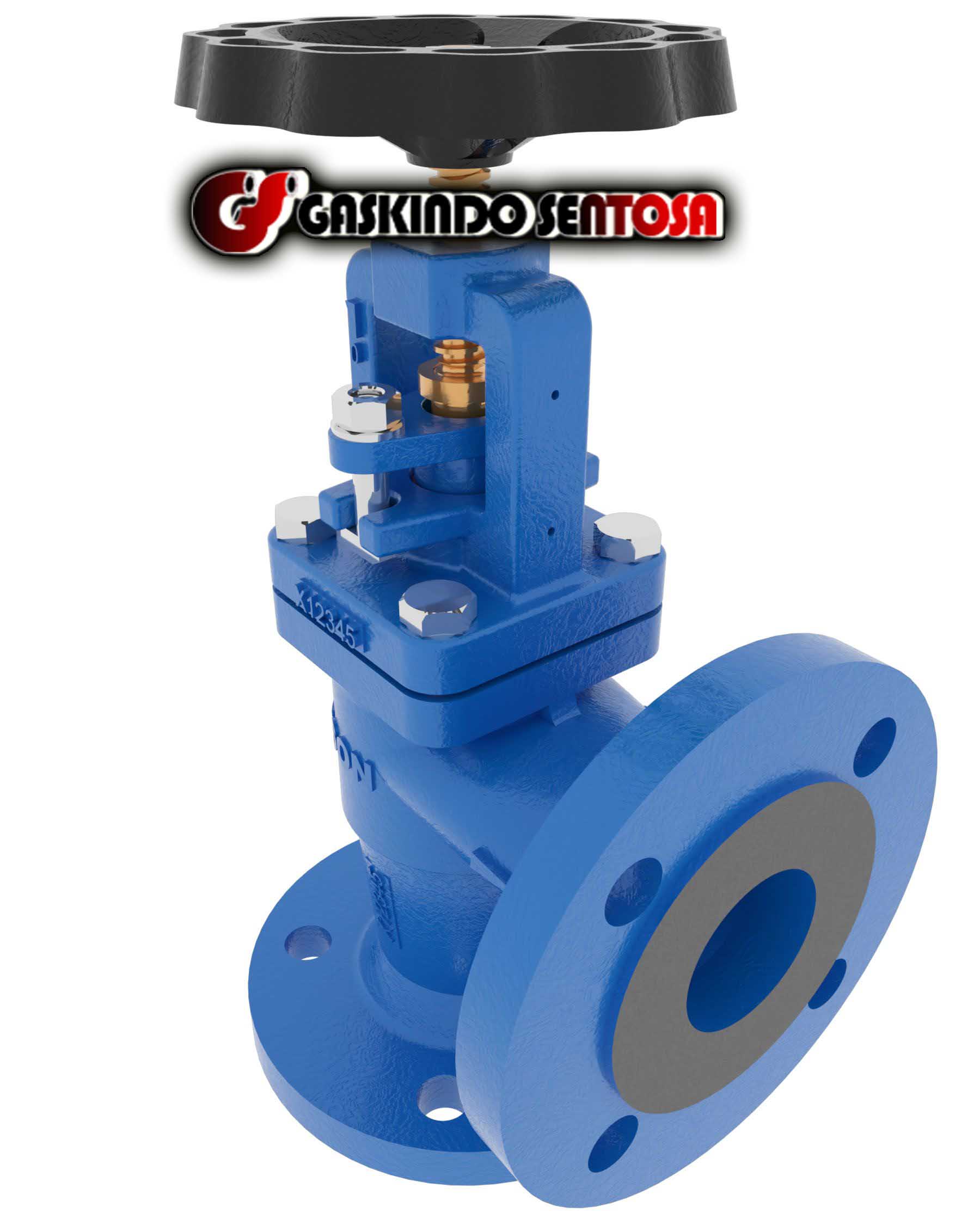 Globe Valve
