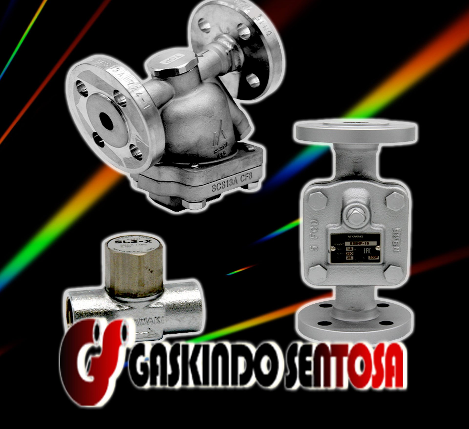 Steam Trap