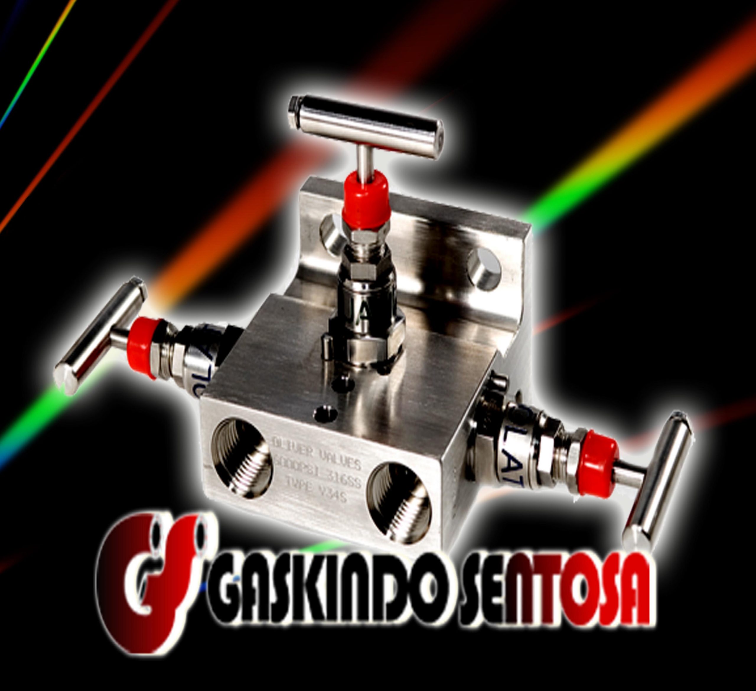 Instrument Valve