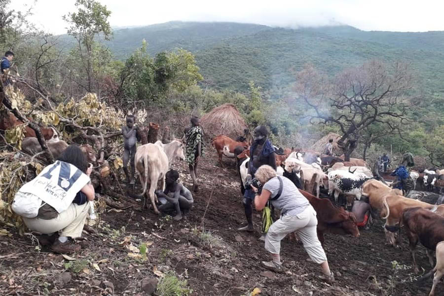 02_CATTLE-IN-WESTERN-ETHIOPIA