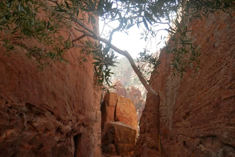 04_WALL-IN-ABUNA-YEMATA-GU