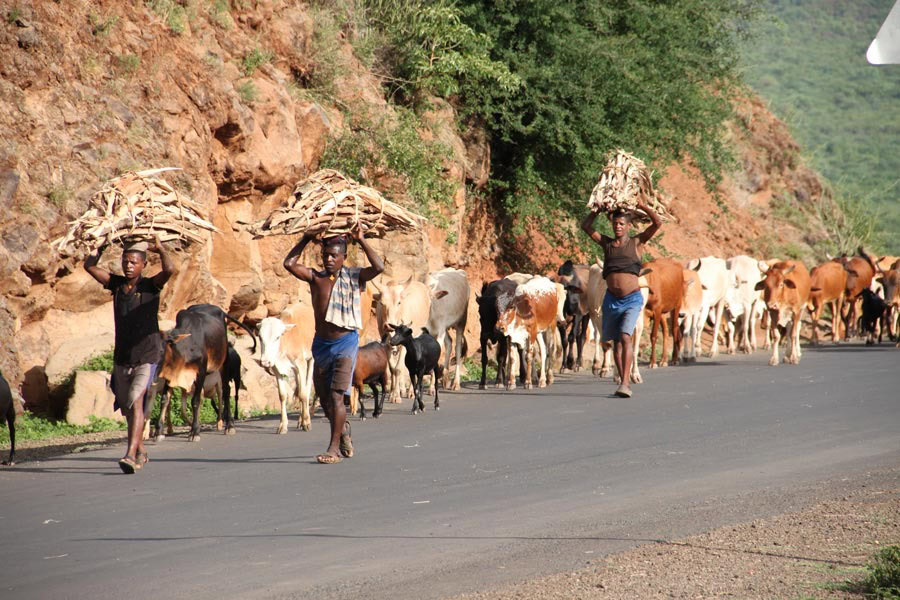 07_CATLES-ON-THE-ROAD-SOUTH