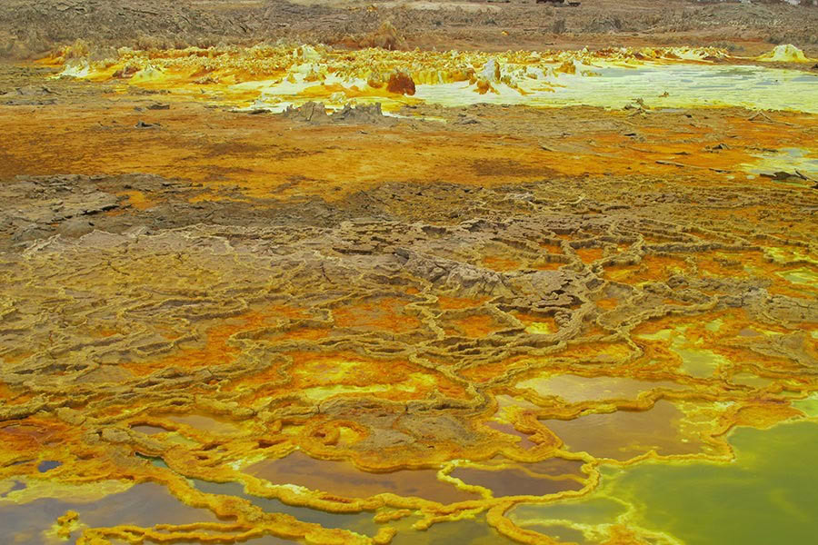 08_DALLOL-2