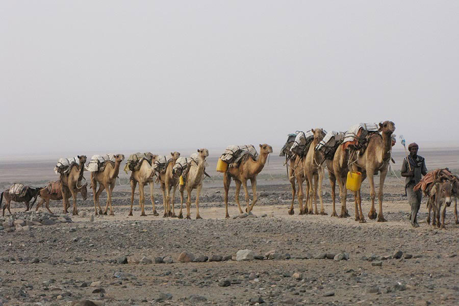15_DANAKIL-CARAVAN