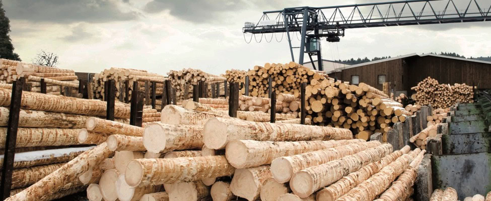 Peraturan Deforestasi Uni Eropa (EU Deforestation Regulation (EUDR))