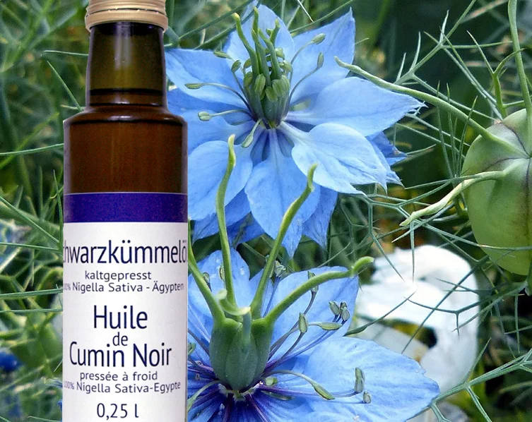 Ernährung 2 Schwarzkümmelöl bei vielen Frauenleiden, bei Hauterkrankungen, Allergien, Bronchialerkrankungen
