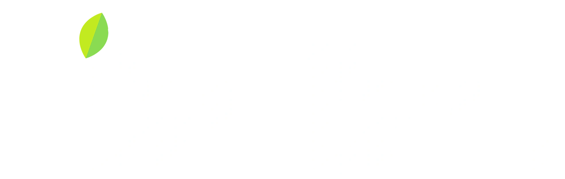 Indzu logo