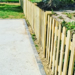 Fencing_2