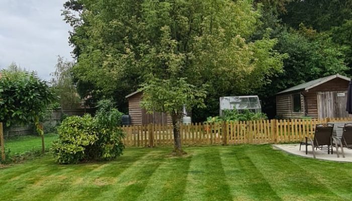 Arboriculture Arboriculture