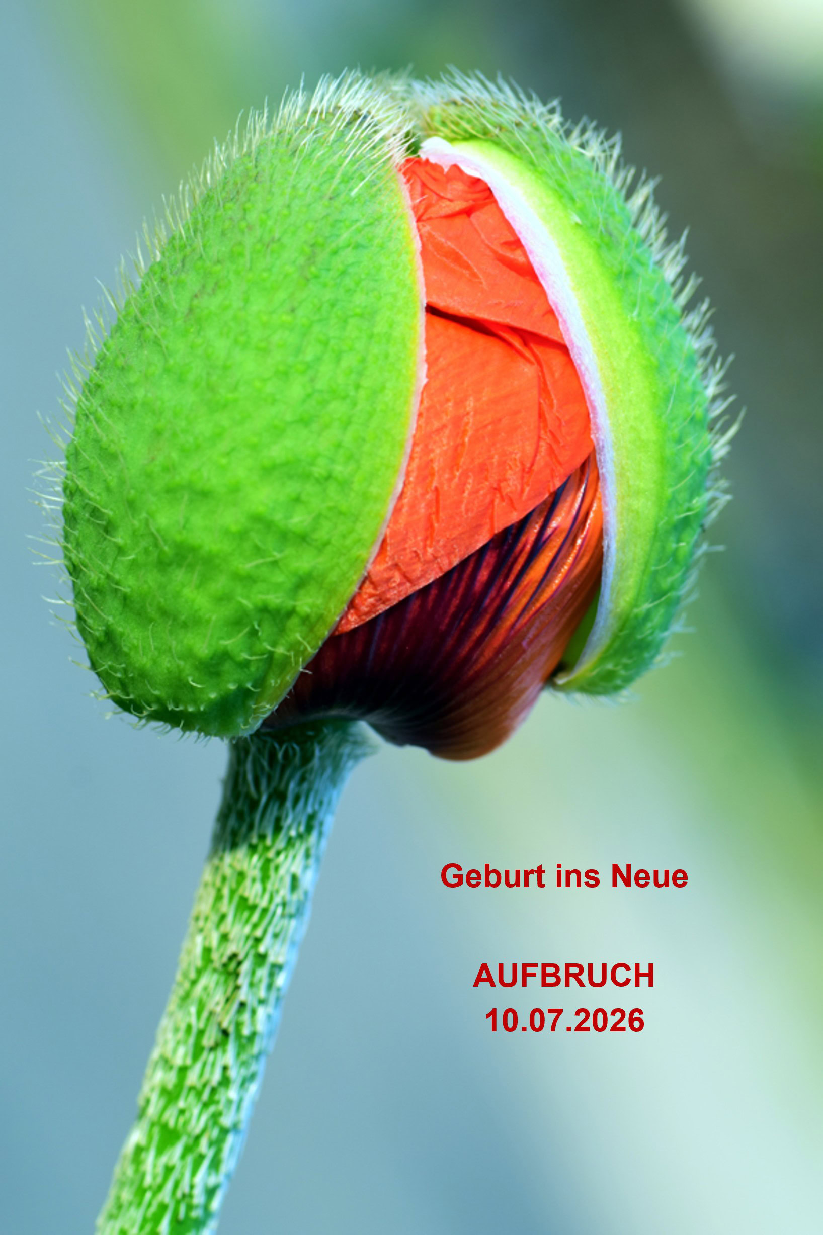 Geburt ins Neue – AUFBRUCH