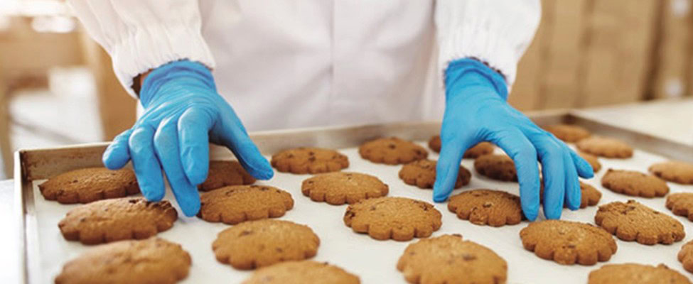 HACCP & GMP