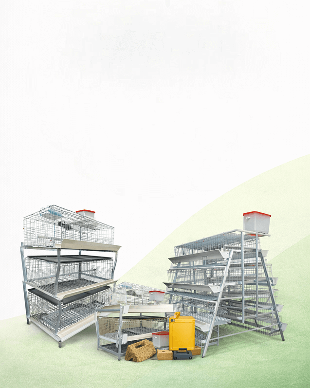 ChatGPTImageJan8202603 14 16PM