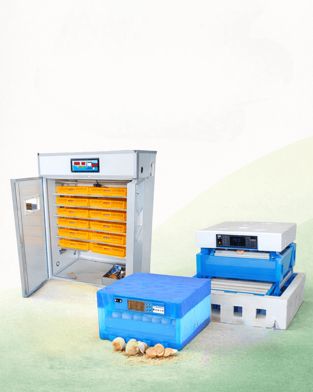 ChatGPTImageJan8202606 04 20PM 1 1