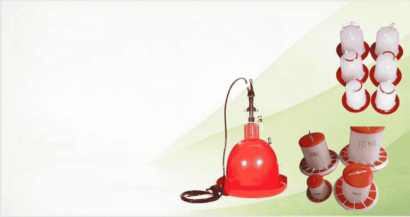 chicken drinkers feeders