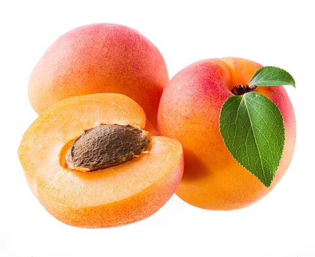 APRICOTS KG