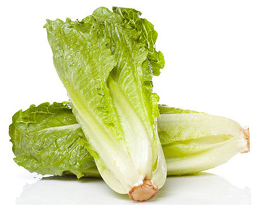 LETTUCE COS EA