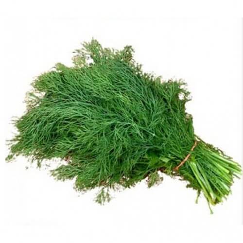 DILL BUNCH