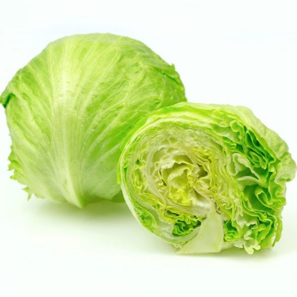 LETTUCE ICEBERG EA