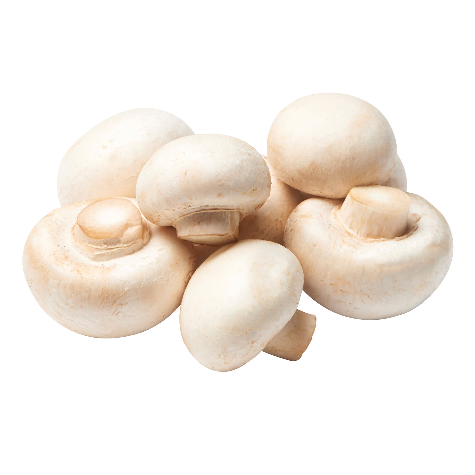 MUSHROOM BUTTONS