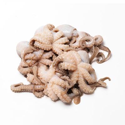OCTOPUS BABY KG
