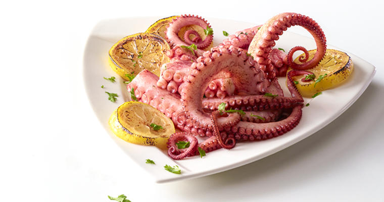 OCTOPUS AUS KG