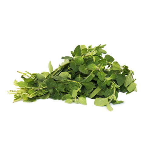 OREGANO BUNCH
